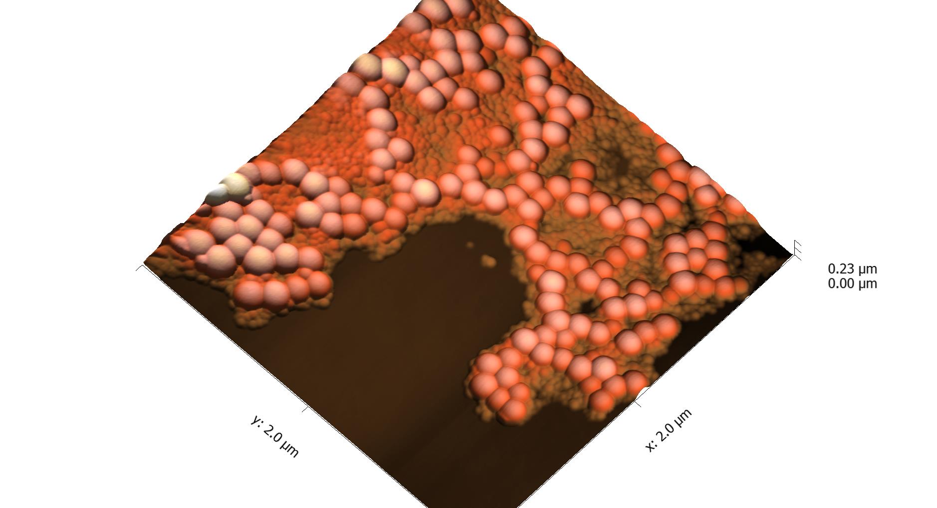 Mixed Nanoparticles