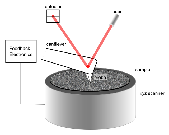 afm scheme