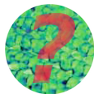 quiz symbol quiz on afm modes